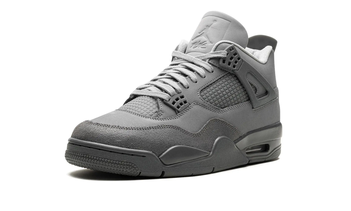 Air Jordan 4
"Wet Cement" Shoe Flyes