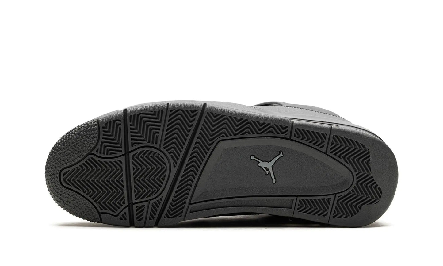 Air Jordan 4
"Wet Cement" Shoe Flyes