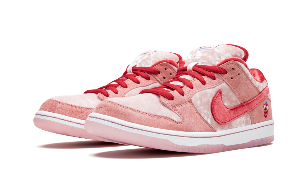SB DUNK LOW PRO