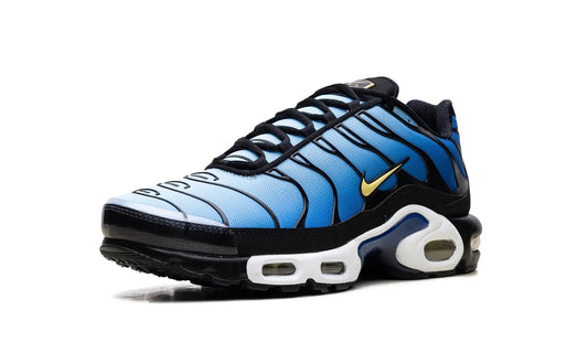 Nike
Air Max Plus OG TN
"Hyper Blue" Shoe Flyes