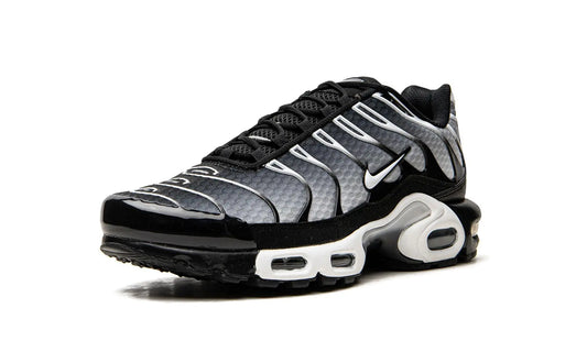 Nike Air Max Plus TN
"Black / Silver" Shoe Flyes