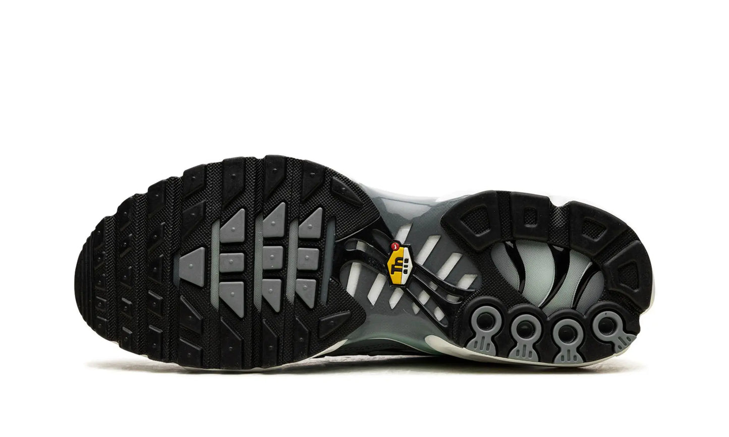Nike
Air Max Plus TN
"Waterway" Shoe Flyes
