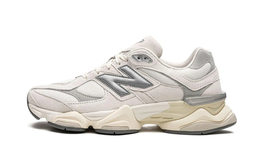 NEW BALANCE
9060
"Sea Salt" Shoe Flyes