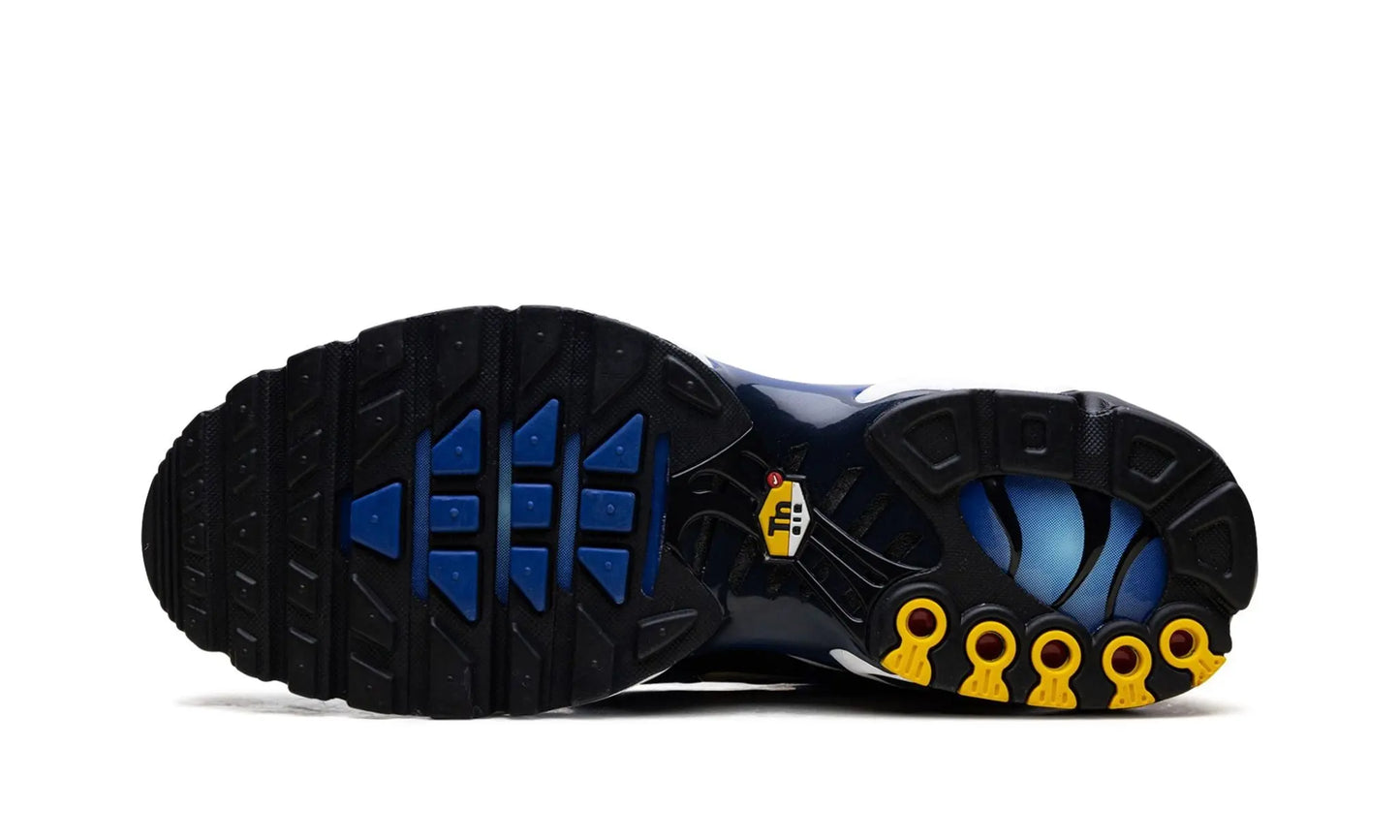 Nike
Air Max Plus OG TN
"Hyper Blue" Shoe Flyes