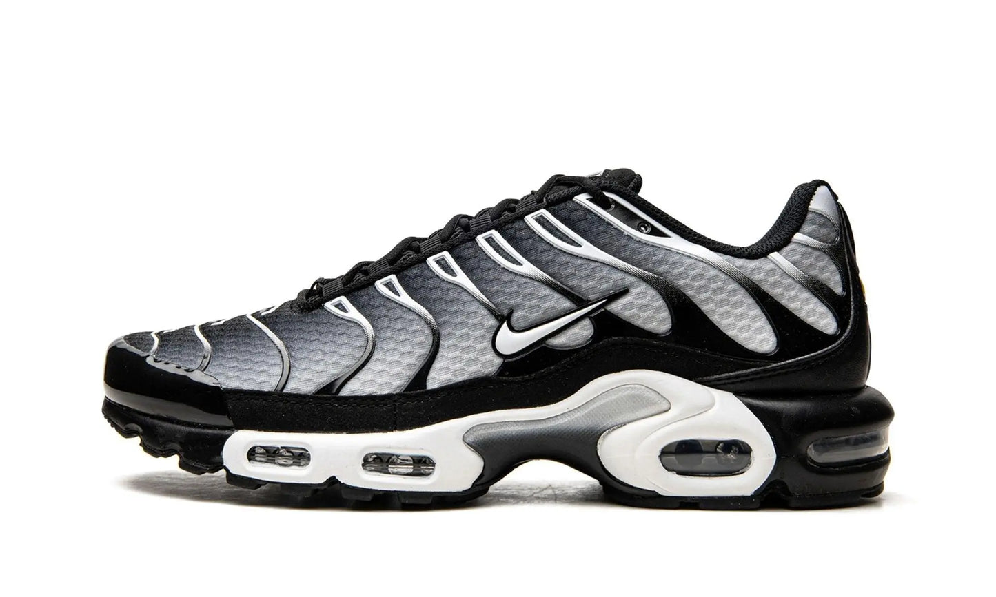 Nike Air Max Plus TN
"Black / Silver" Shoe Flyes