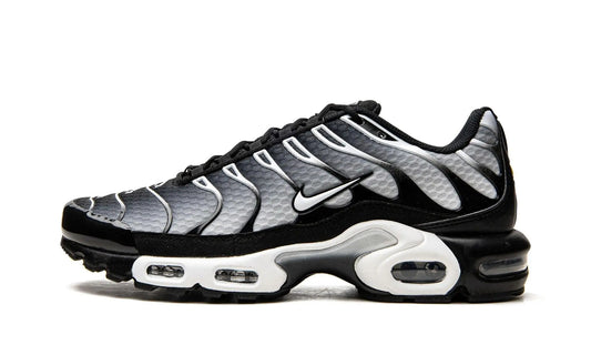 Nike Air Max Plus TN
"Black / Silver" Shoe Flyes