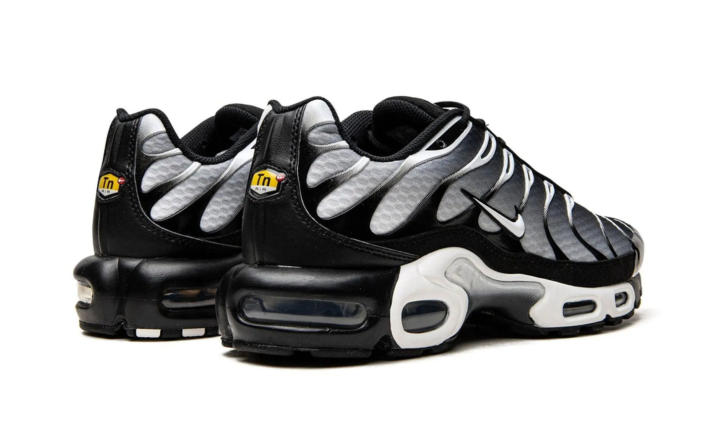 Nike Air Max Plus TN
"Black / Silver" Shoe Flyes