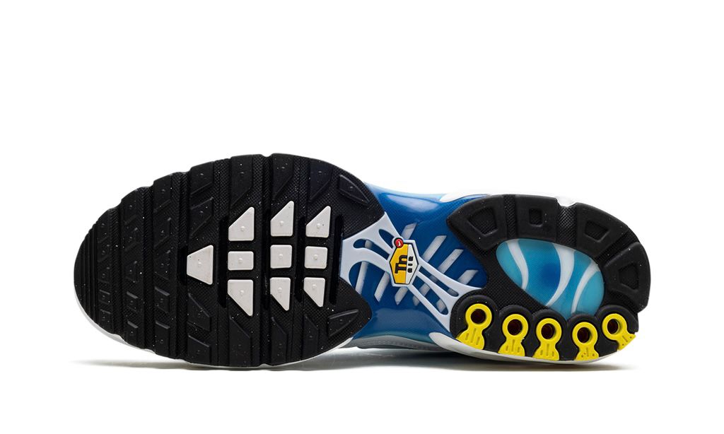 NIKE
AIR MAX PLUS
"BLUE GAZE"